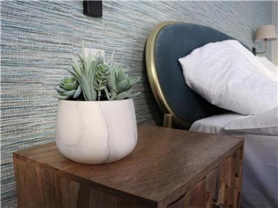 Chapel Lodge - Roof Top Garden!Perfect For Your Family Bath Buitenkant foto
